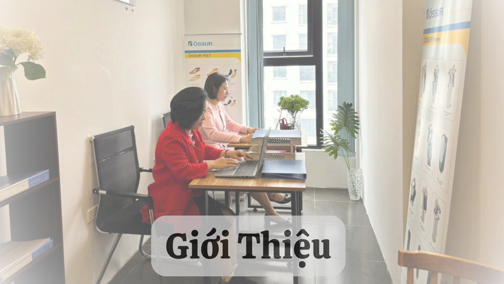 Giới thiệu - Chỉnh Hình Global