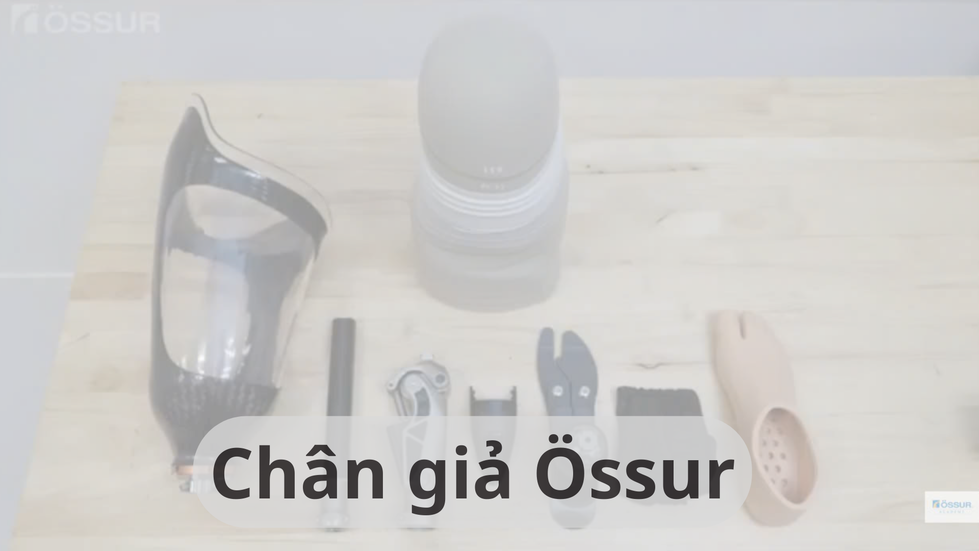 Chân giả Ossur - Chỉnh Hình Global